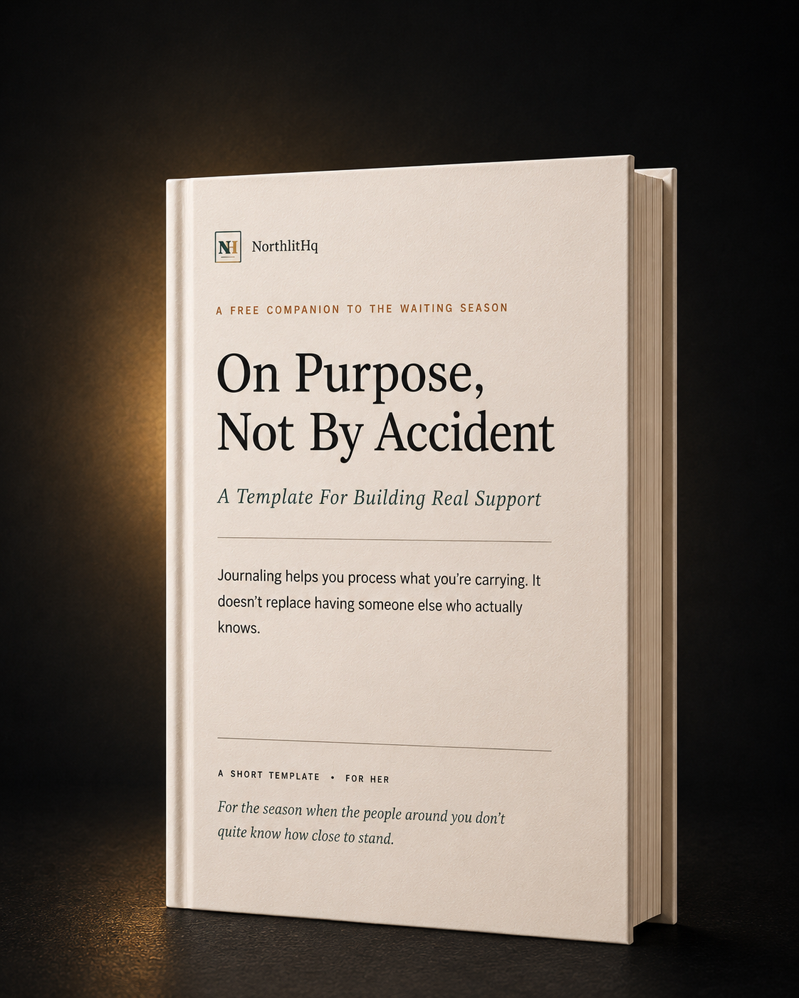 On Purpose, Not By Accident book cover